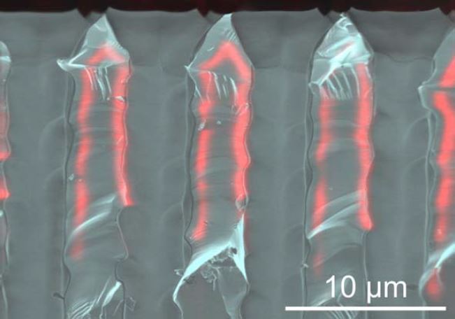 Macroporous Silicon Solar Cell Ion Implantation SEM + EBIC